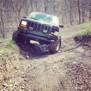 Meet your Posher, Max